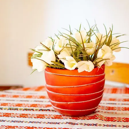 Mirjana Apartament Pula